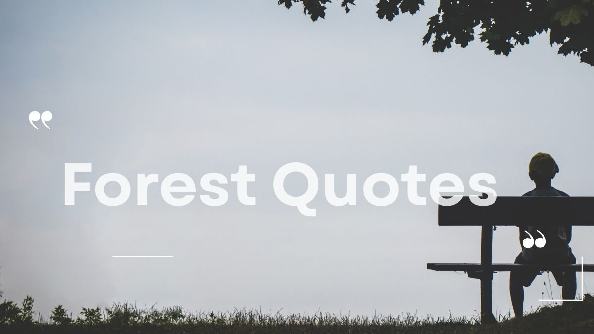 Forest Quotes | 100 Beautiful Quotes About Nature, Peace & Life