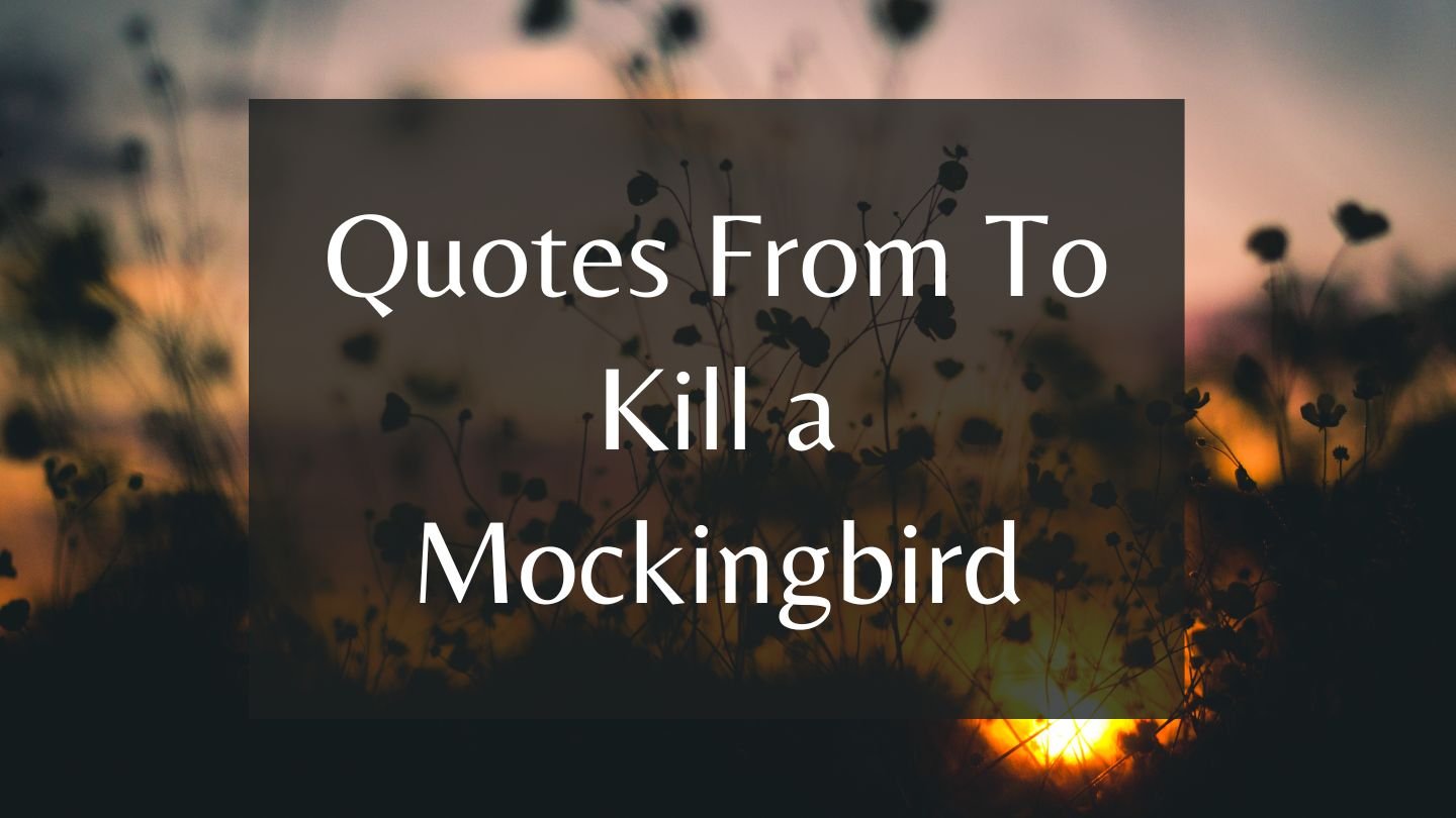 Quotes From To Kill a Mockingbird | Meaning & Analysis